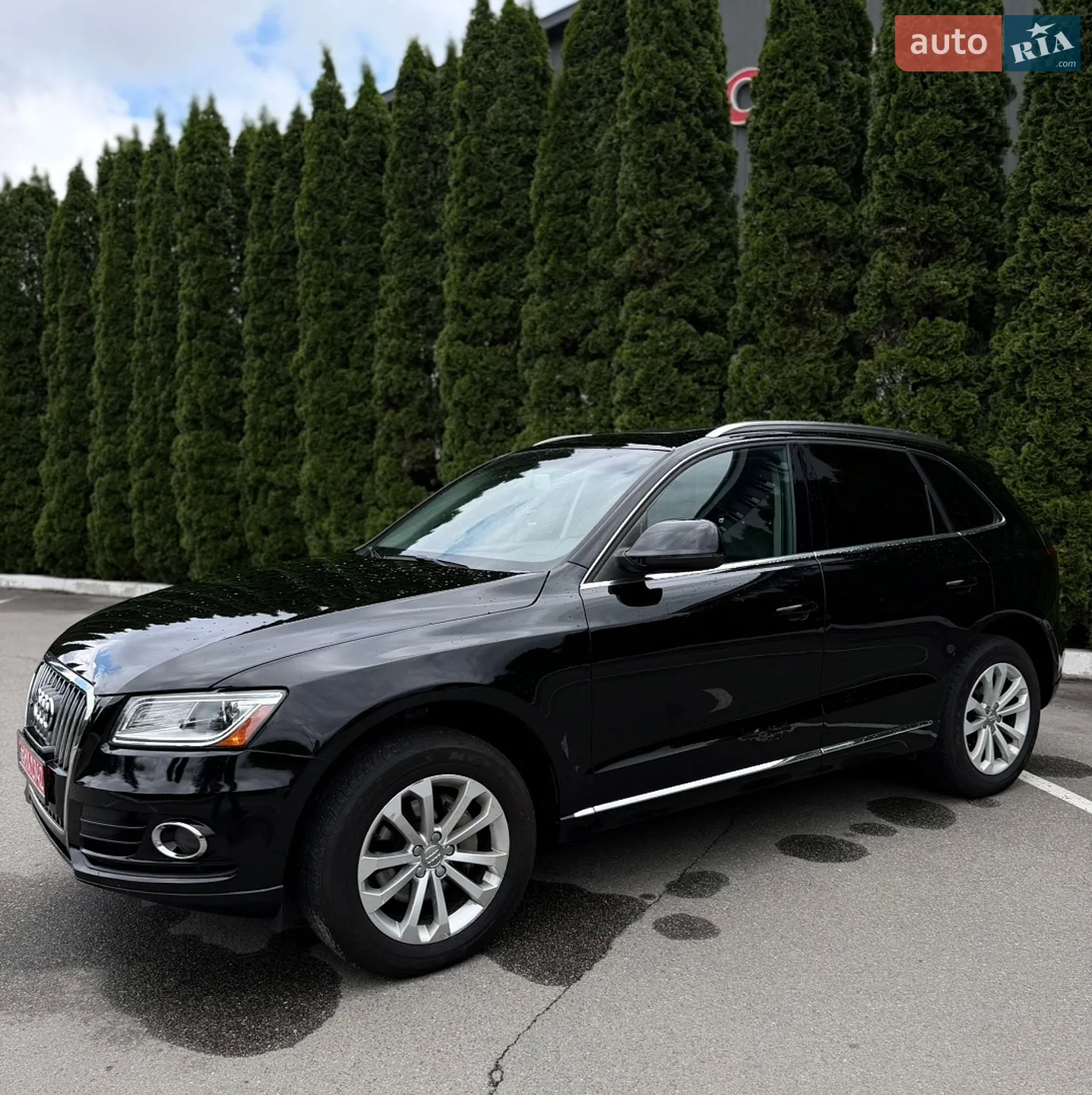 2013 Audi Q5 - мініатюра 4