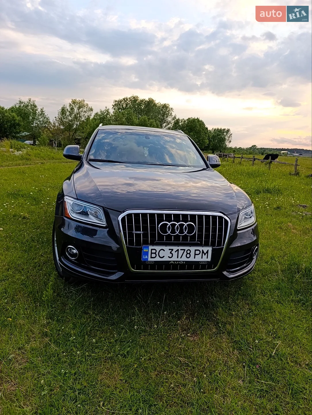 2013 Audi Q5 - мініатюра 7