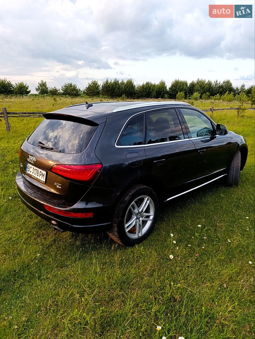 2013 Audi Q5 - мініатюра 12