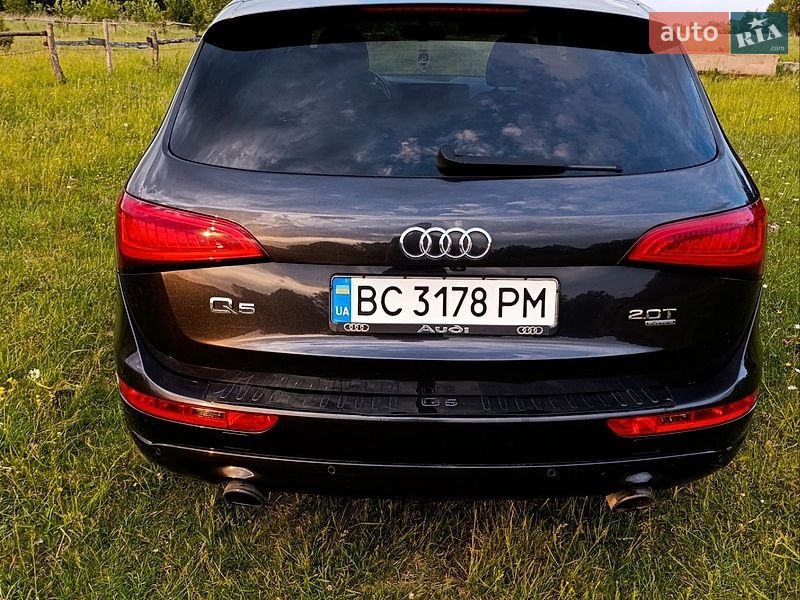 Позашляховик / Кросовер Audi Q5 2013 в Львові фото 15 Позашляховик / Кросовер Audi Q5 2013 в Львові