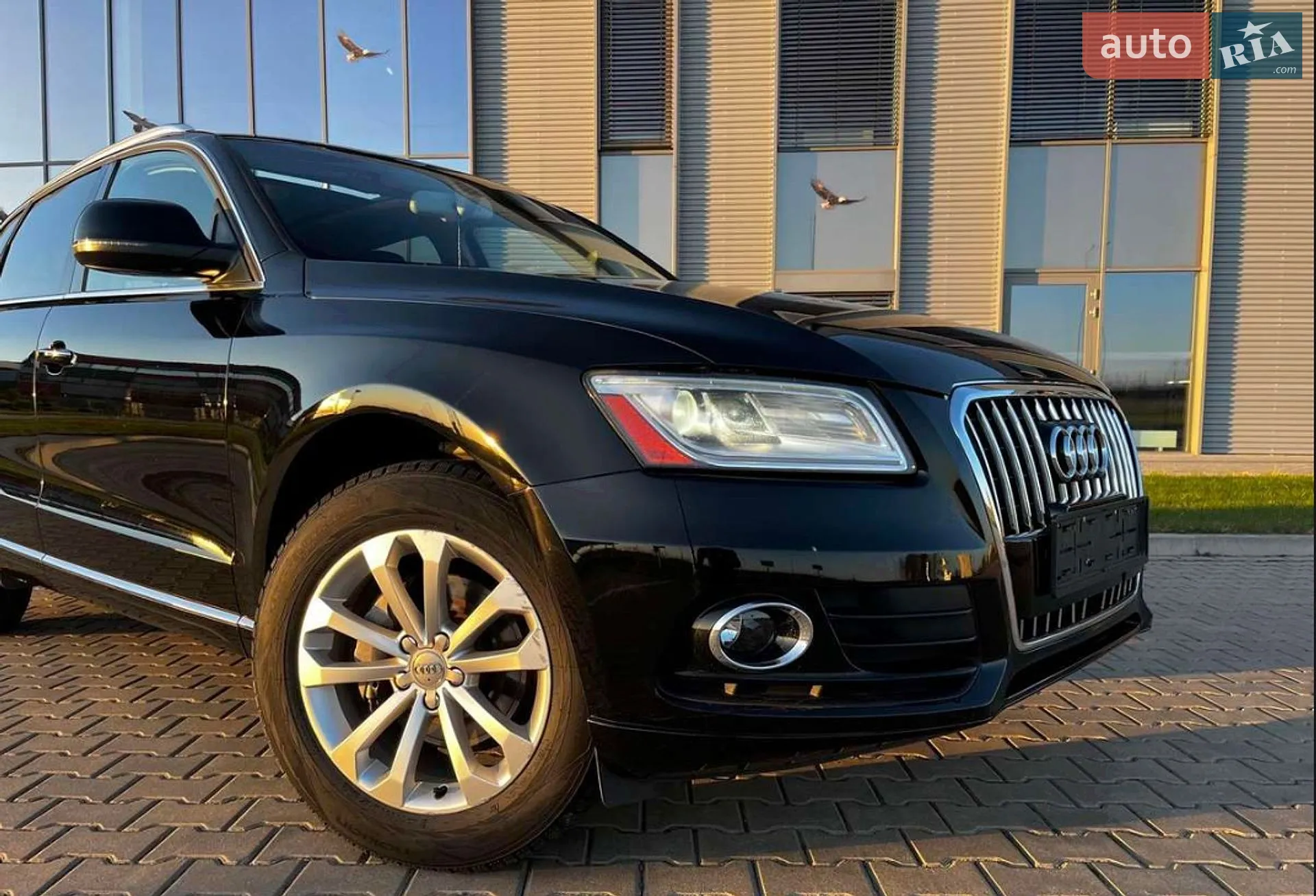 2014 Audi Q5 - мініатюра 2