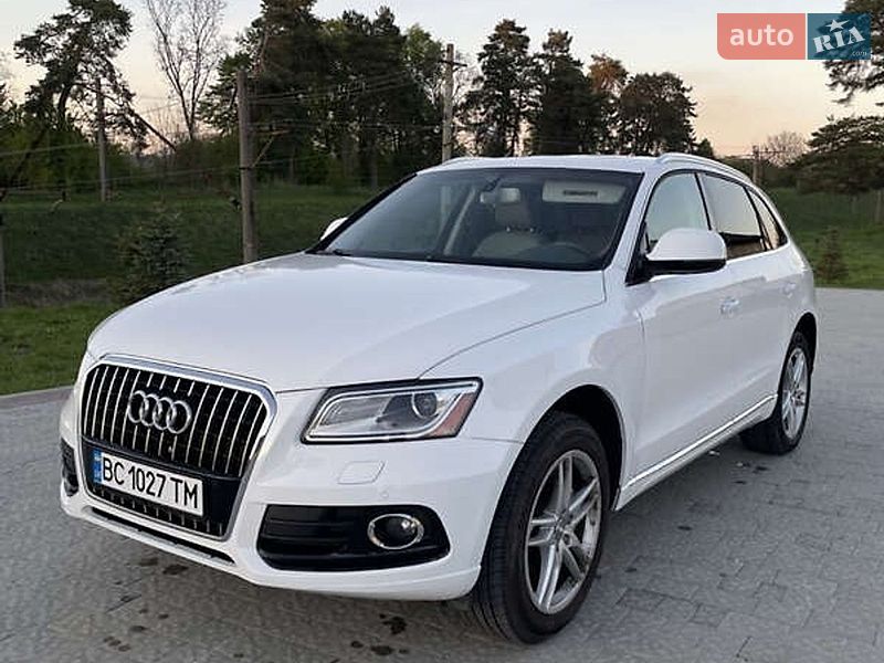 2015 Audi Q5, VIN WA1L2AFP7GA083233:plate — фото 1 (autoria)