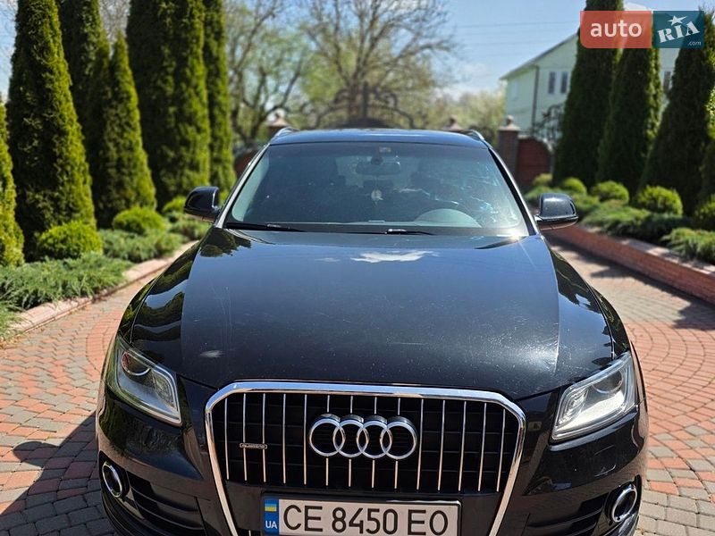 2014 Audi Q5, VIN WAUZZZ8R4FA003066:plate — фото 1 (autoria)