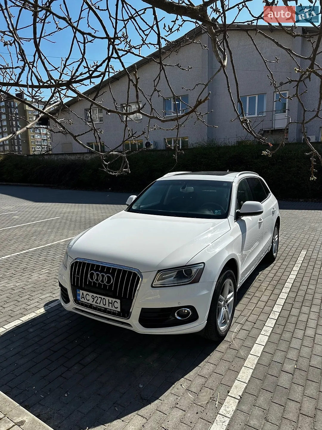 2013 Audi Q5 - мініатюра 3