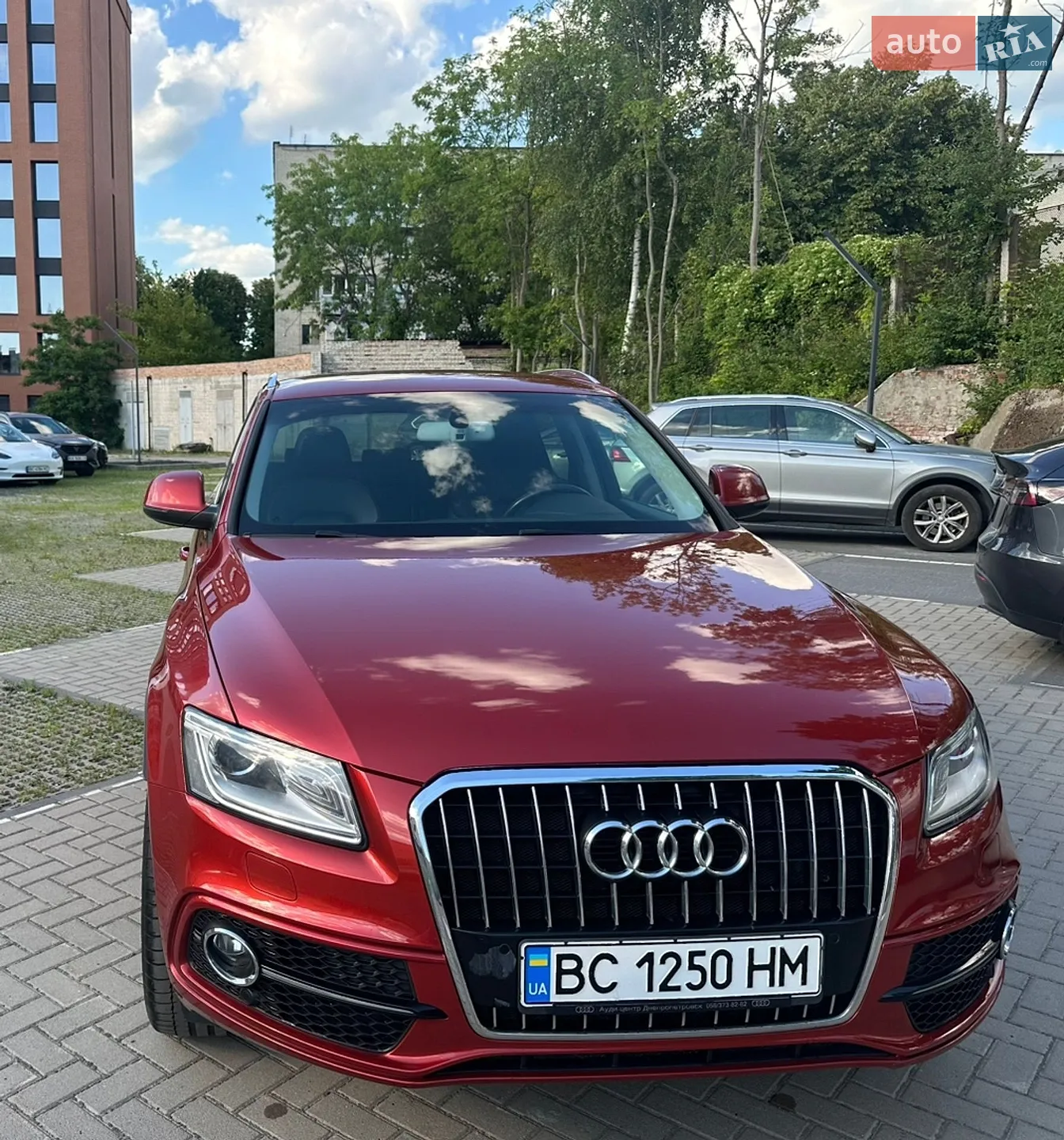 2013 Audi Q5 - мініатюра 12