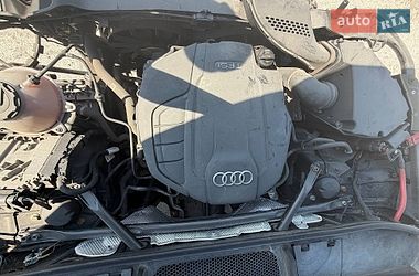 Внедорожник / Кроссовер Audi Q5 2017 в Киеве фото 8 Внедорожник / Кроссовер Audi Q5 2017 в Киеве