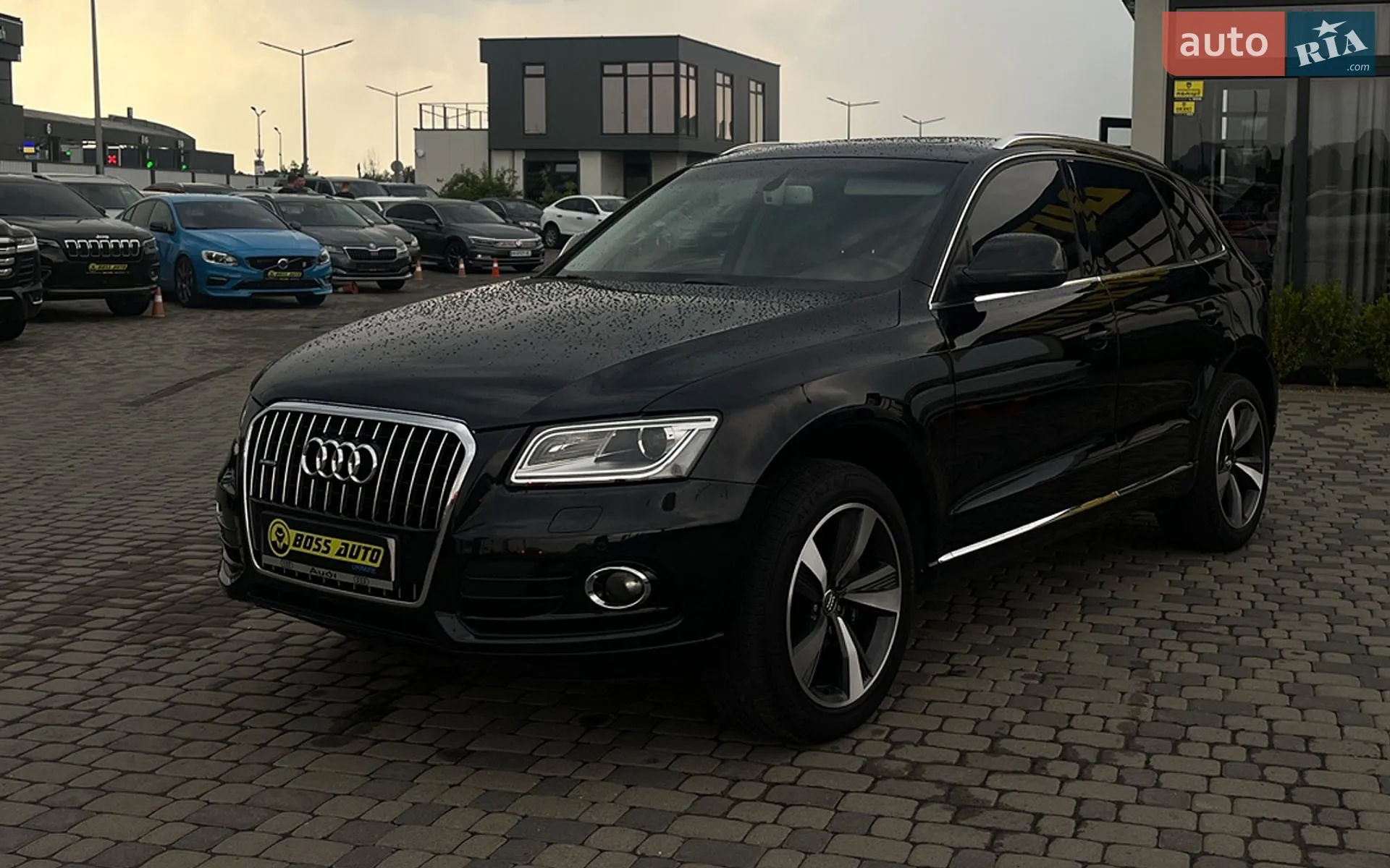 2013 Audi Q5 - мініатюра 3