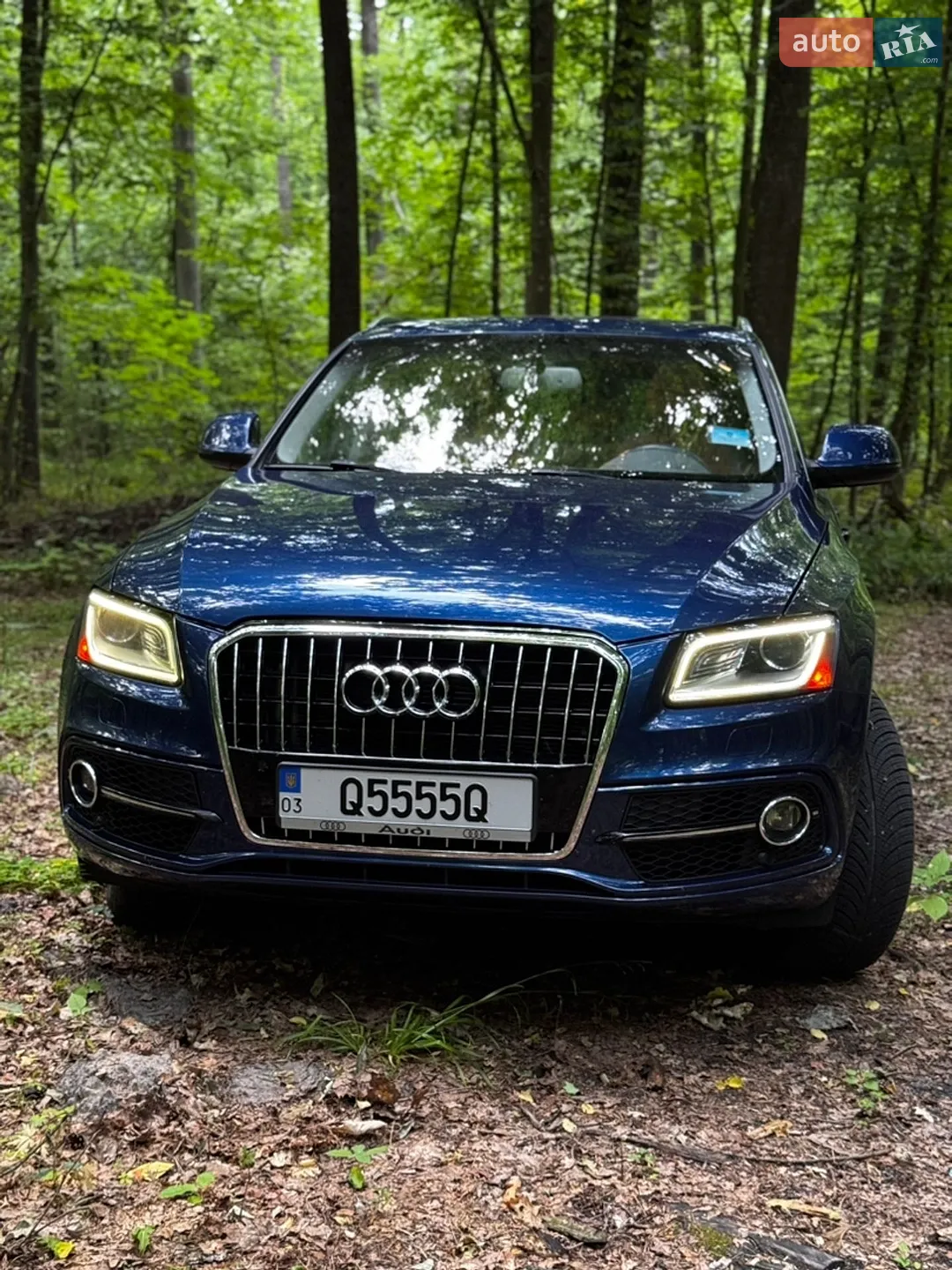 2013 Audi Q5 - мініатюра 2