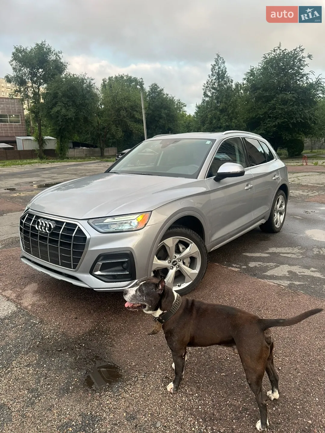 2020 Audi Q5 - фото 1