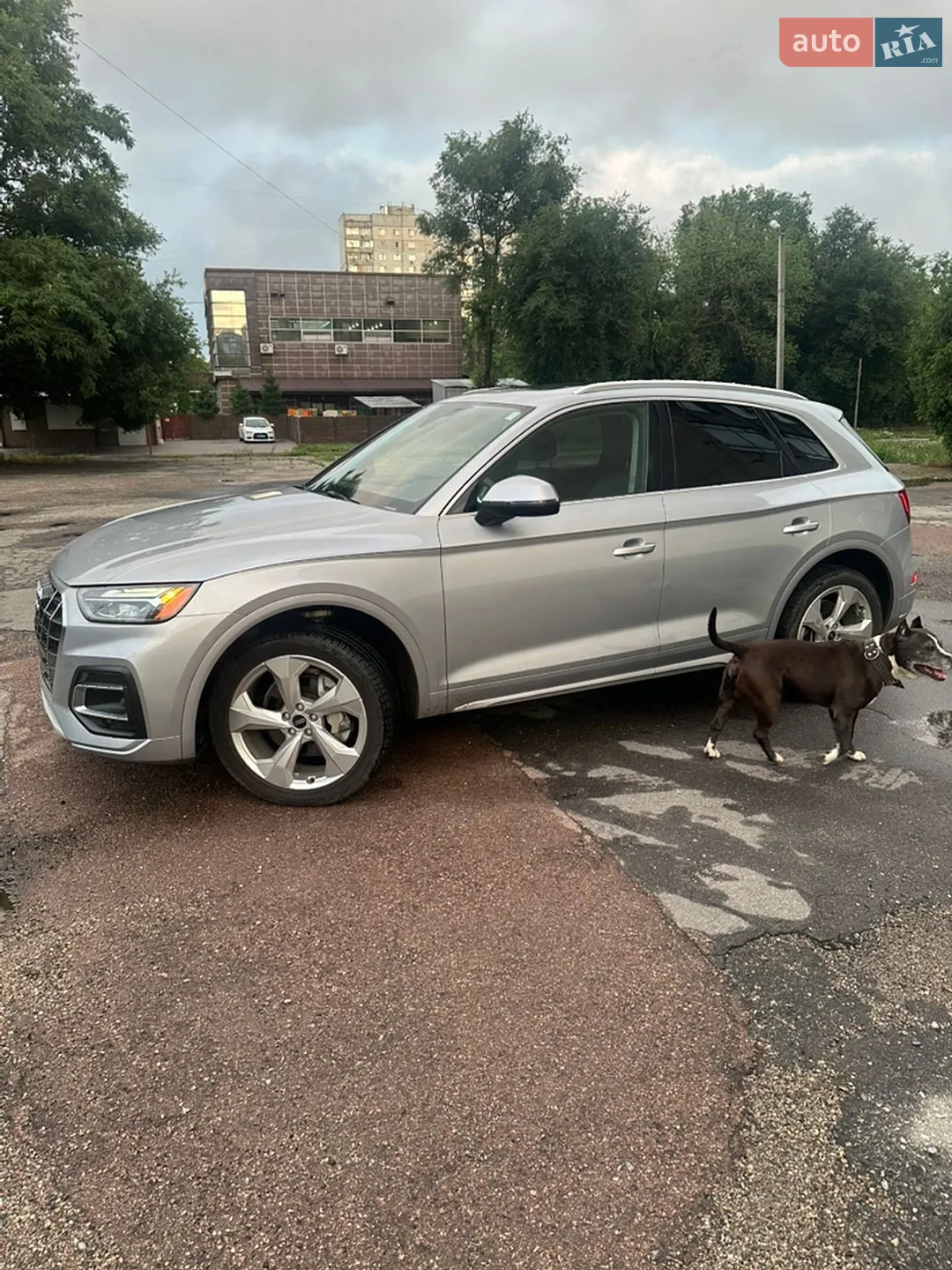 2020 Audi Q5 - мініатюра 2