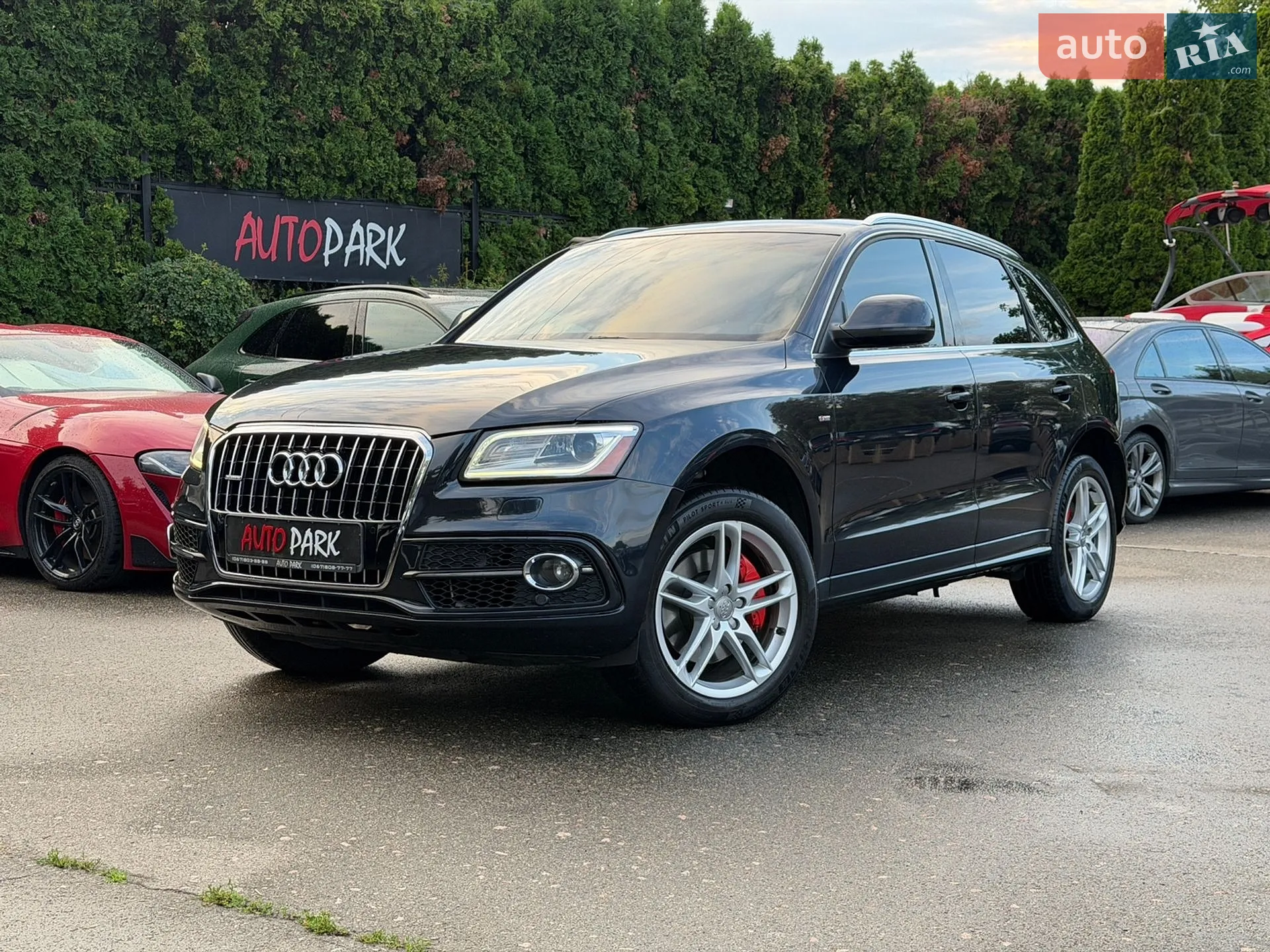 2013 Audi Q5 - мініатюра 3
