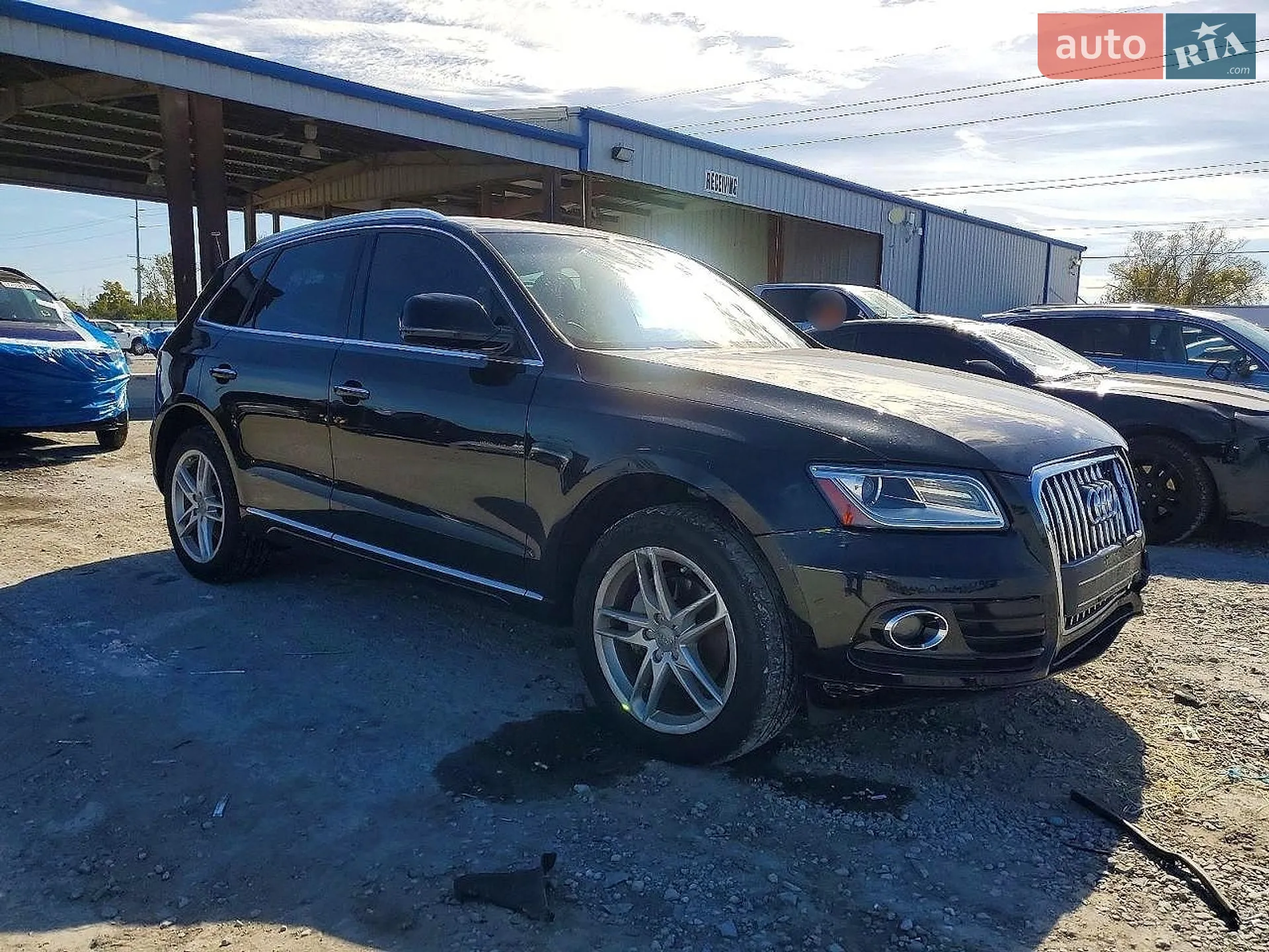 2014 Audi Q5 - мініатюра 4