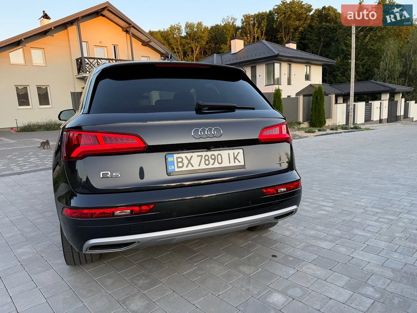 2020 Audi Q5 - мініатюра 7