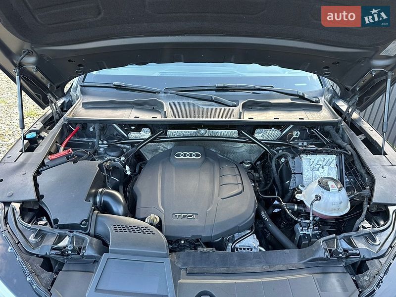 Внедорожник / Кроссовер Audi Q5 2019 в Стрые фото 117 Внедорожник / Кроссовер Audi Q5 2019 в Стрые