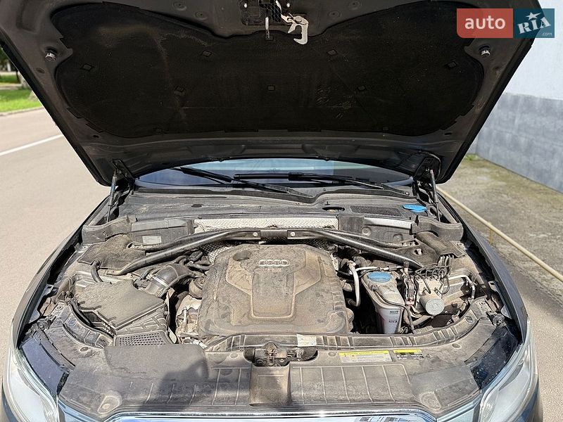 Внедорожник / Кроссовер Audi Q5 2015 в Ромнах фото 11 Внедорожник / Кроссовер Audi Q5 2015 в Ромнах