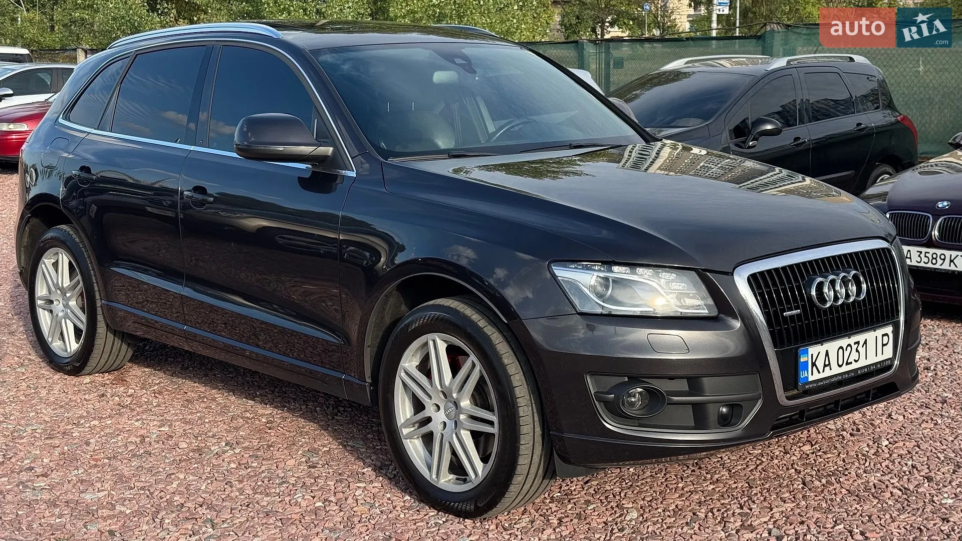 2010 Audi Q5 - мініатюра 3