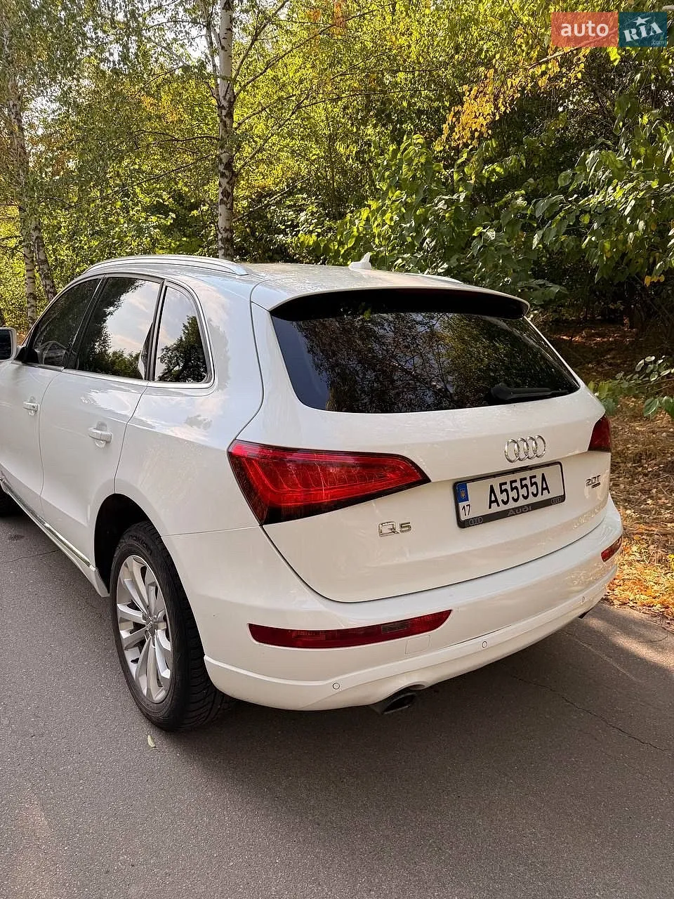 2013 Audi Q5 - мініатюра 3