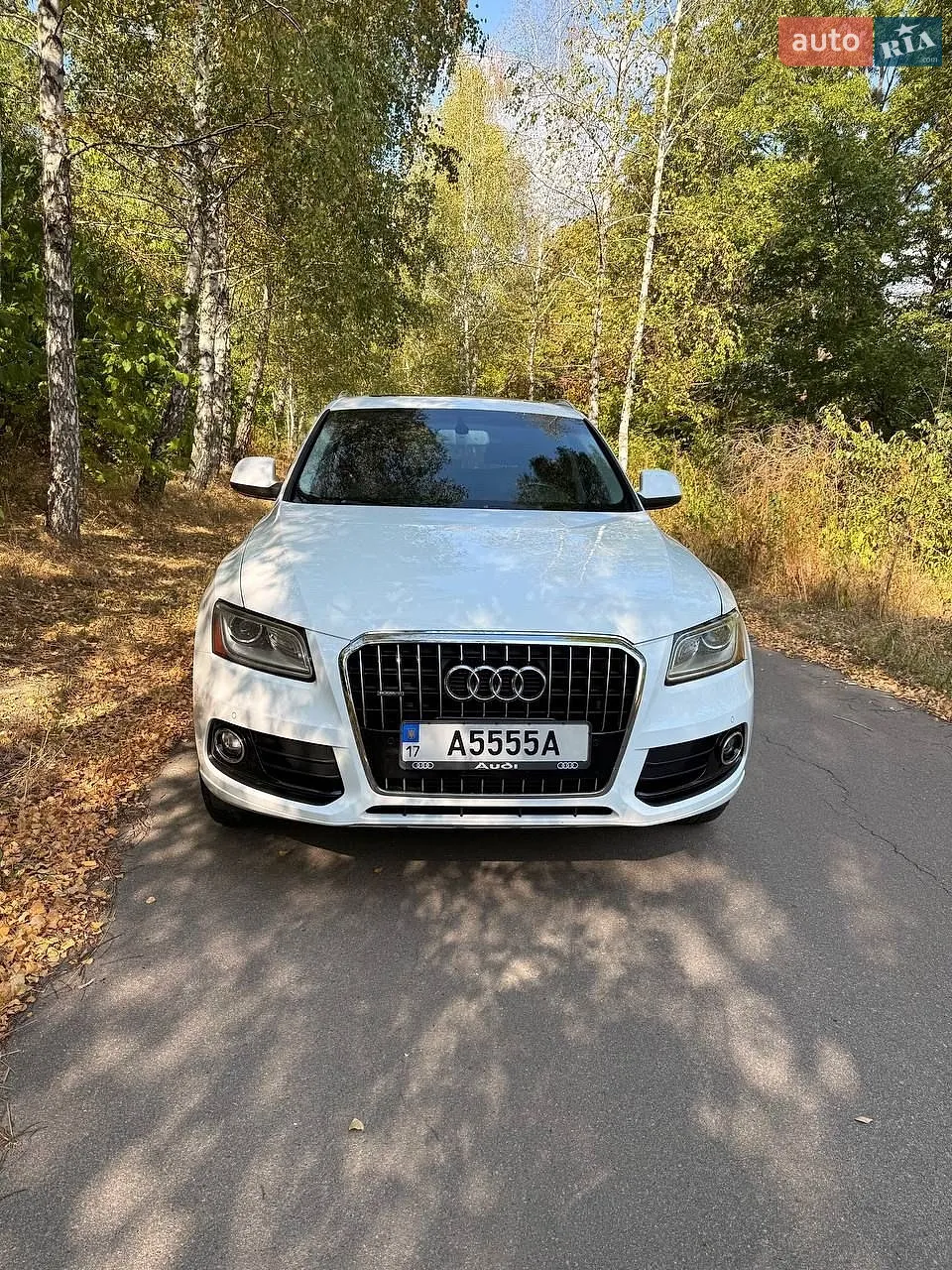 2013 Audi Q5 - мініатюра 6