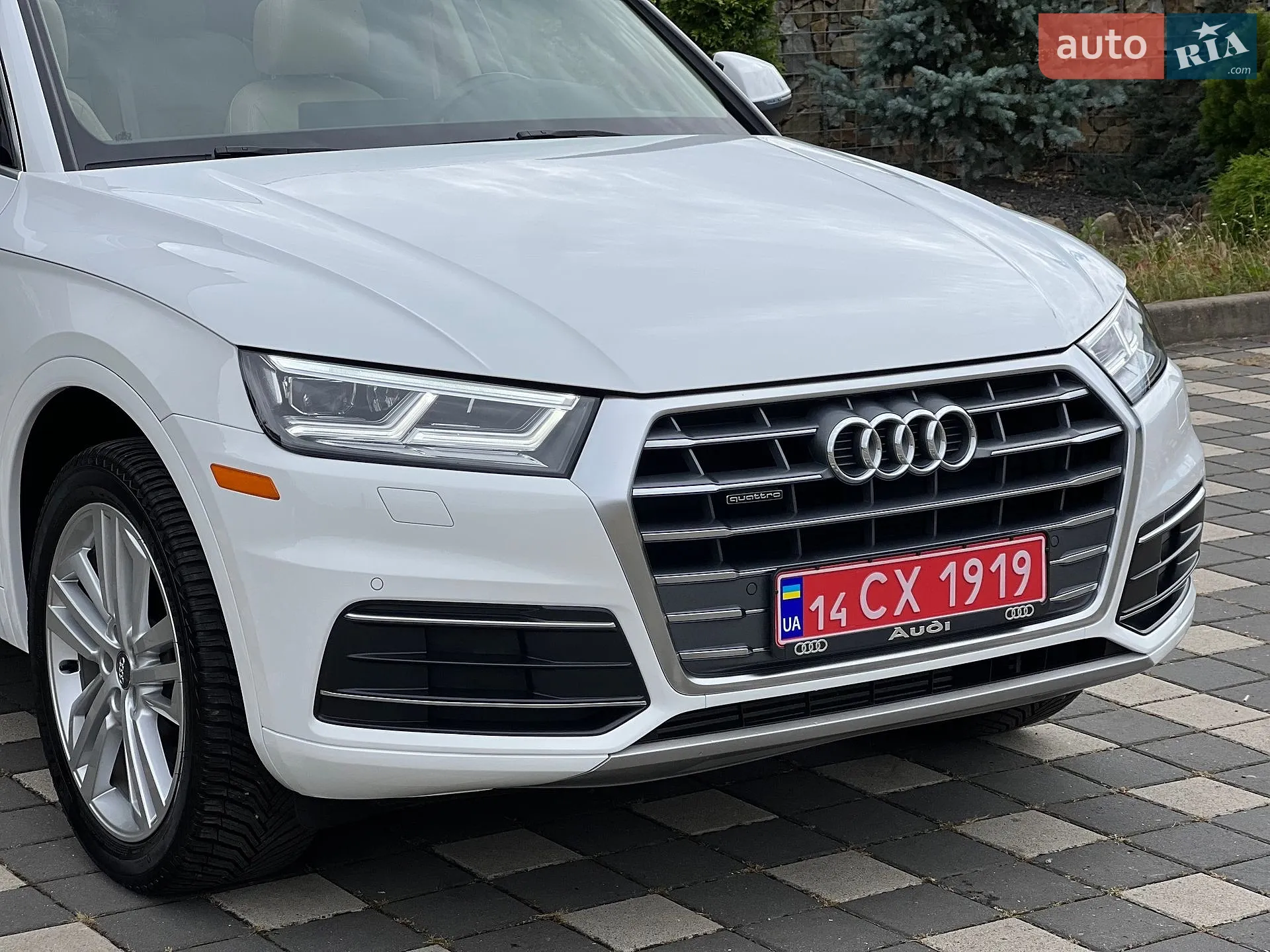 2019 Audi Q5 - мініатюра 44