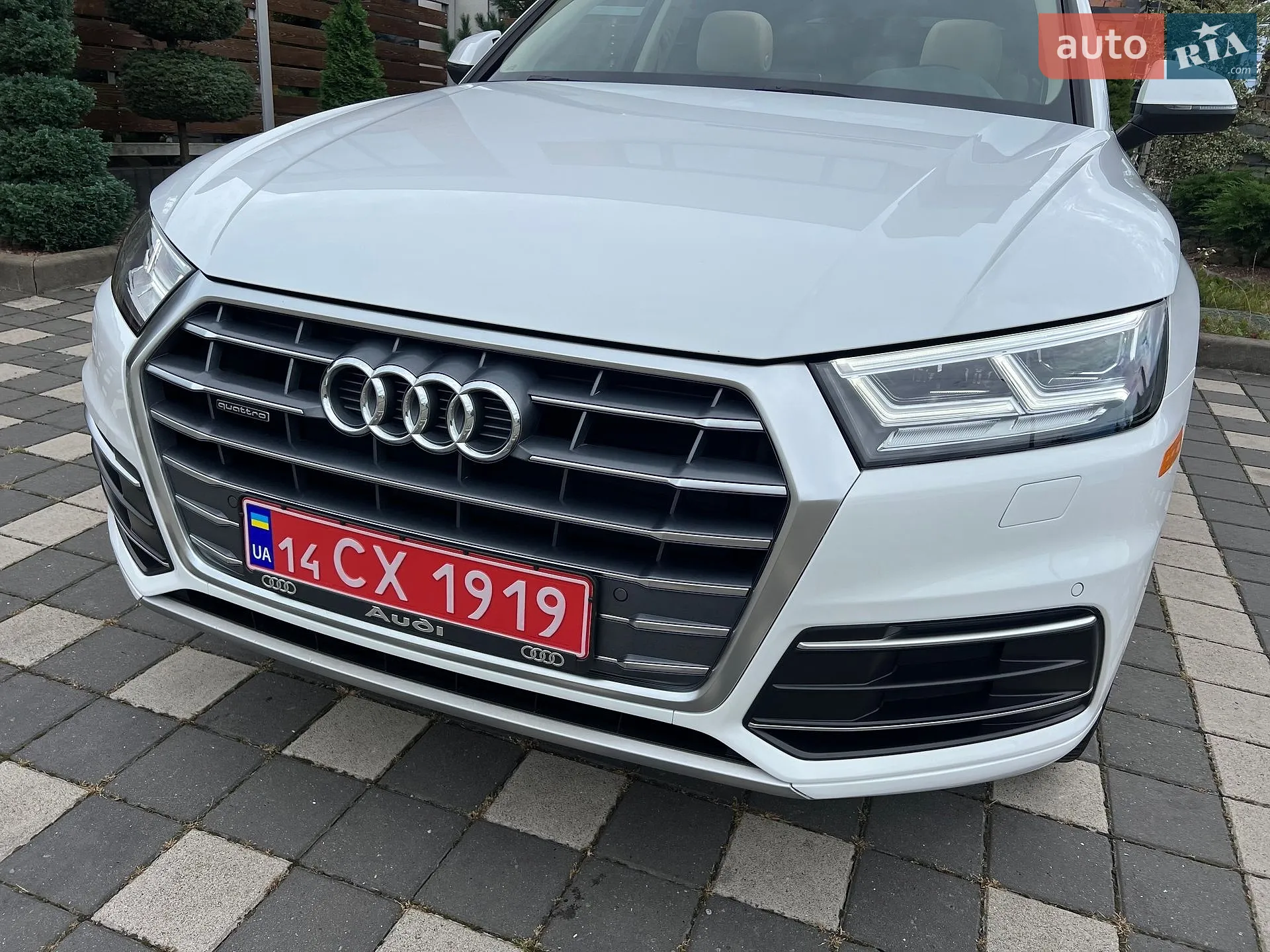 2019 Audi Q5 - мініатюра 46