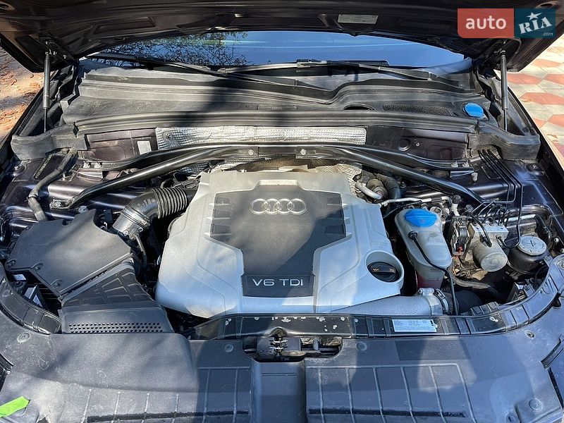 Внедорожник / Кроссовер Audi Q5 2010 в Нежине