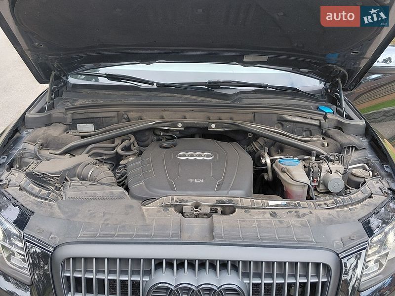 Внедорожник / Кроссовер Audi Q5 2011 в Чернигове фото 49 Внедорожник / Кроссовер Audi Q5 2011 в Чернигове