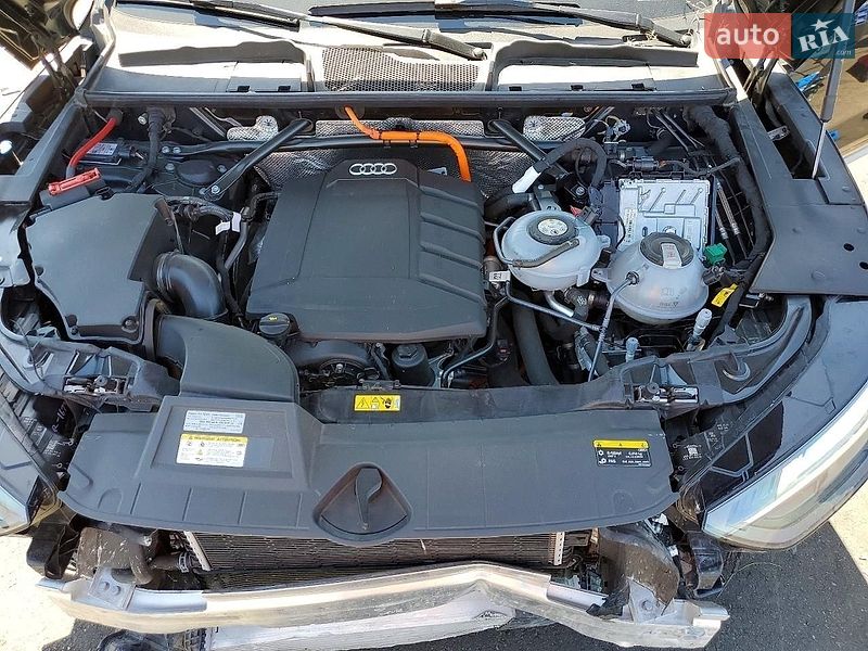 Внедорожник / Кроссовер Audi Q5 2024 в Коростене