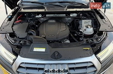 Внедорожник / Кроссовер Audi Q5 2019 в Тернополе