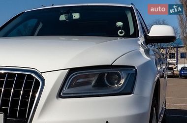 Внедорожник / Кроссовер Audi Q5 2013 в Житомире