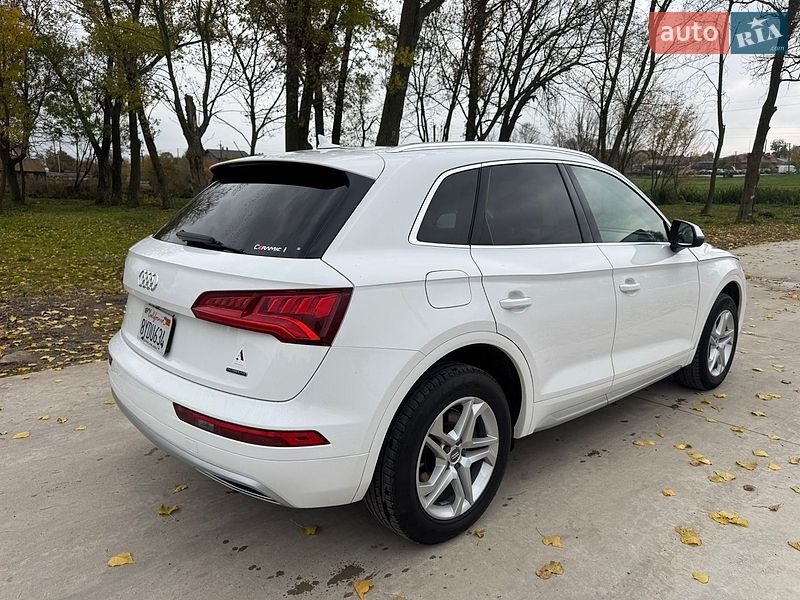 Внедорожник / Кроссовер Audi Q5 2019 в Львове