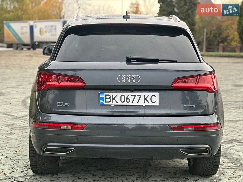 Внедорожник / Кроссовер Audi Q5 2019 в Дубно