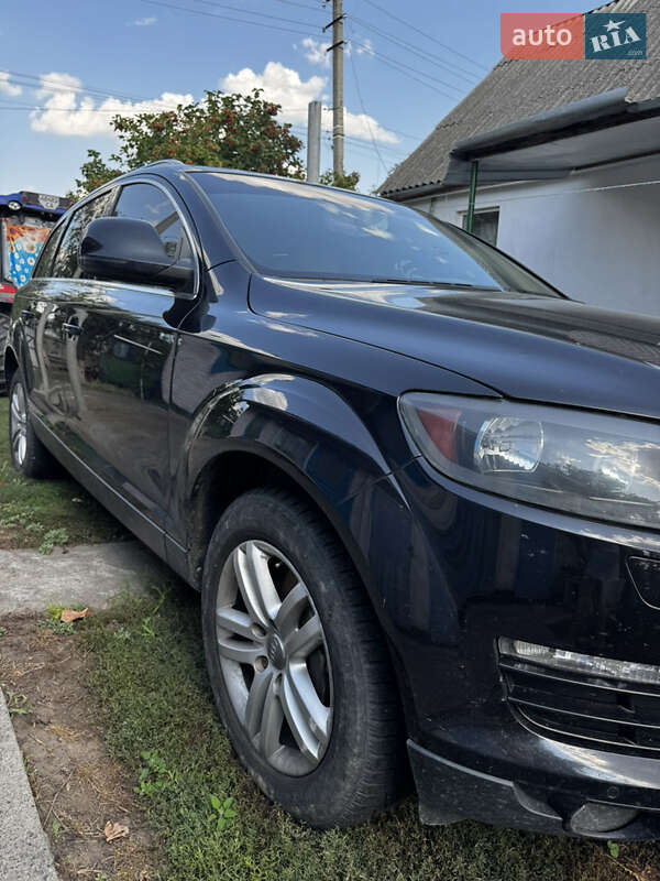 Внедорожник / Кроссовер Audi Q7 2008 в Корсуне-Шевченковском фото 6 Внедорожник / Кроссовер Audi Q7 2008 в Корсуне-Шевченковском