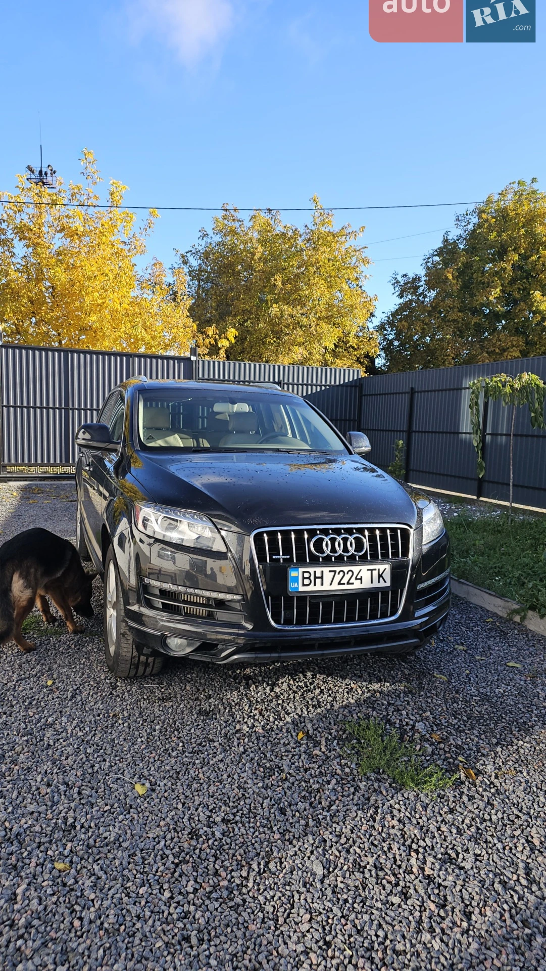 2011 Audi Q7 - мініатюра 2