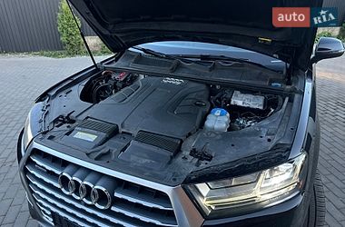 Внедорожник / Кроссовер Audi Q7 2017 в Сарнах