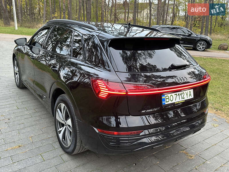 Внедорожник / Кроссовер Audi Q8 e-tron 2023 в Житомире фото 45 Внедорожник / Кроссовер Audi Q8 e-tron 2023 в Житомире