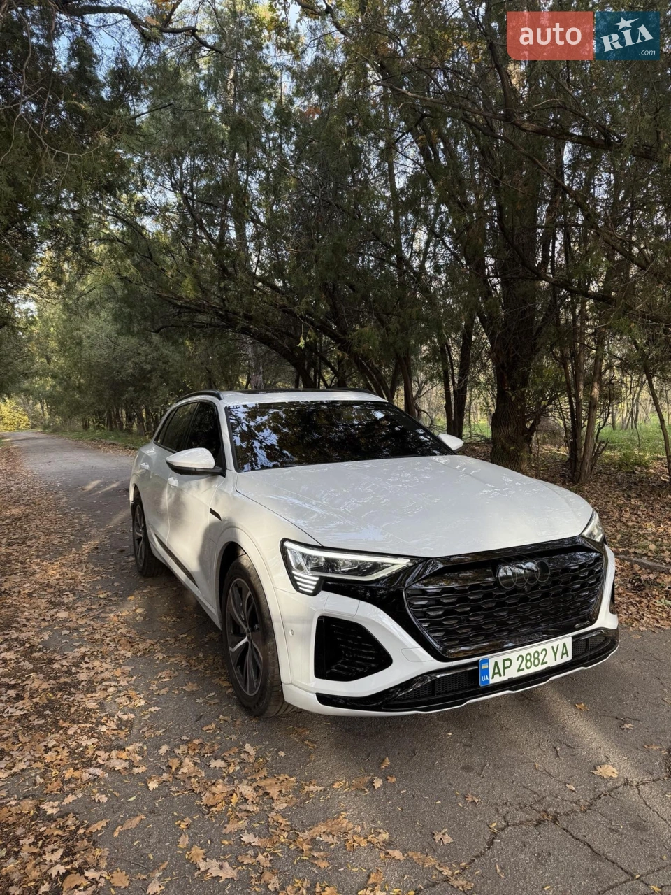 2023 Audi Q8 - мініатюра 36
