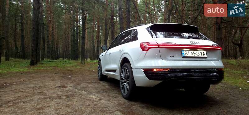 Внедорожник / Кроссовер Audi Q8 e-tron 2023 в Горишних Плавнях