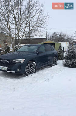 Внедорожник / Кроссовер Audi Q8 e-tron 2024 в Каменец-Подольском