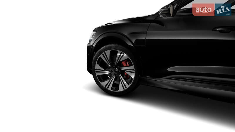 Внедорожник / Кроссовер Audi Q8 Sportback e-tron 2023 в Черновцах фото 49 Внедорожник / Кроссовер Audi Q8 Sportback e-tron 2023 в Черновцах