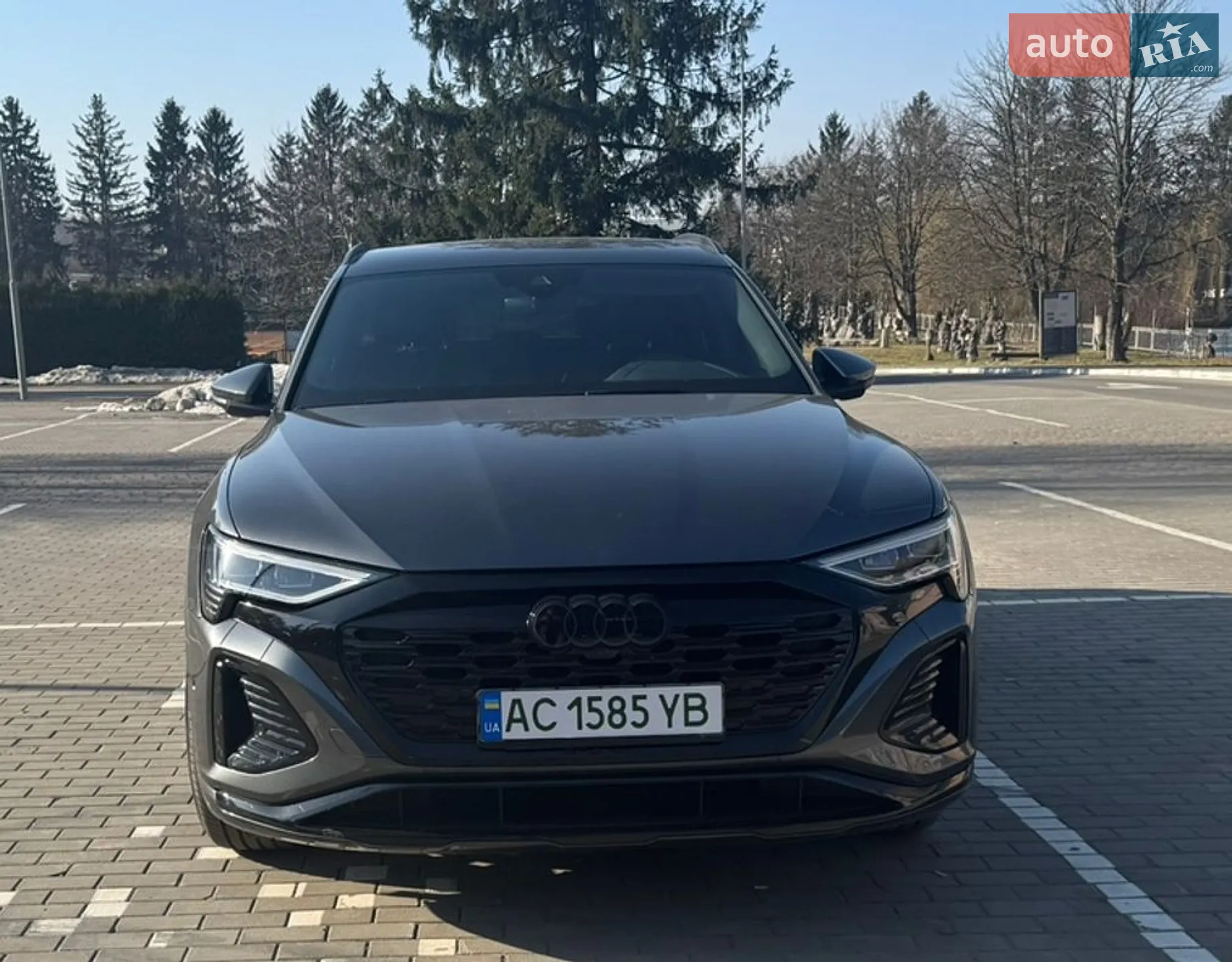 2023 Audi Q8 - мініатюра 9