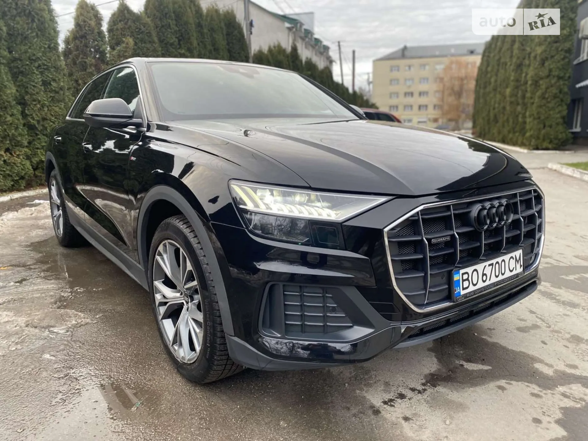 2020 Audi Q8 - фото 1