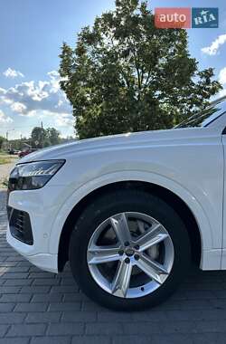 Внедорожник / Кроссовер Audi Q8 2019 в 