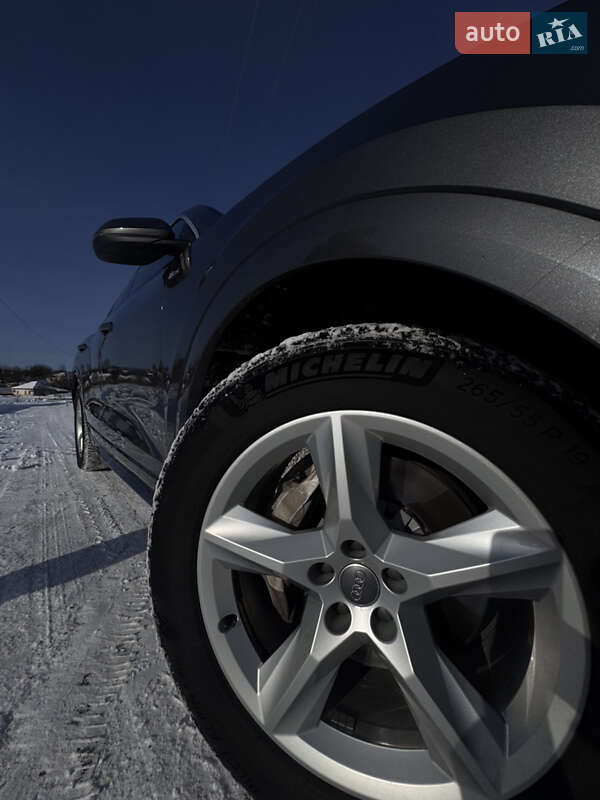 Внедорожник / Кроссовер Audi Q8 2019 в Коростене фото 13 Внедорожник / Кроссовер Audi Q8 2019 в Коростене