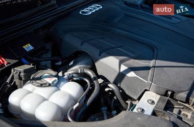 Внедорожник / Кроссовер Audi Q8 2019 в Киеве