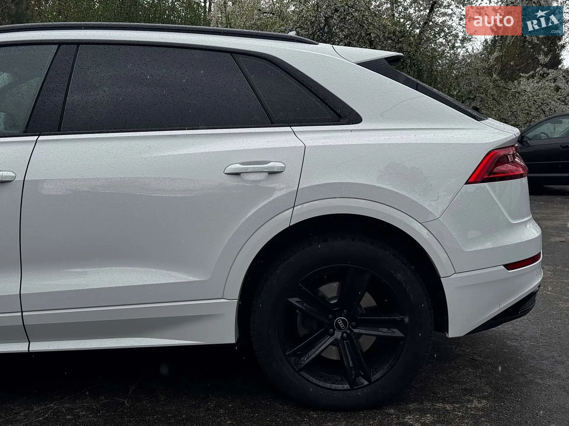 2021 Audi Q8 - мініатюра 22