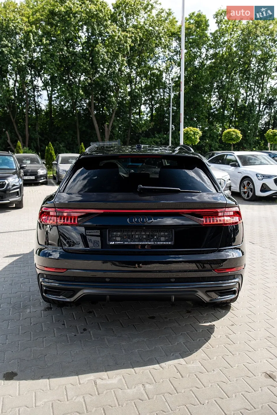 2019 Audi Q8 - мініатюра 7