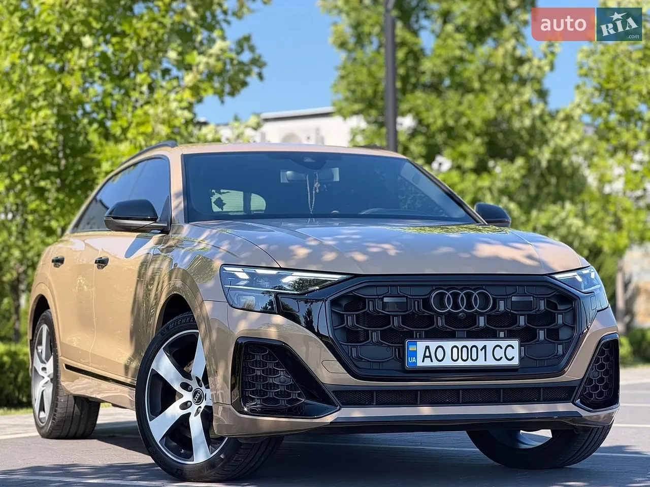 2023 Audi Q8 - мініатюра 15
