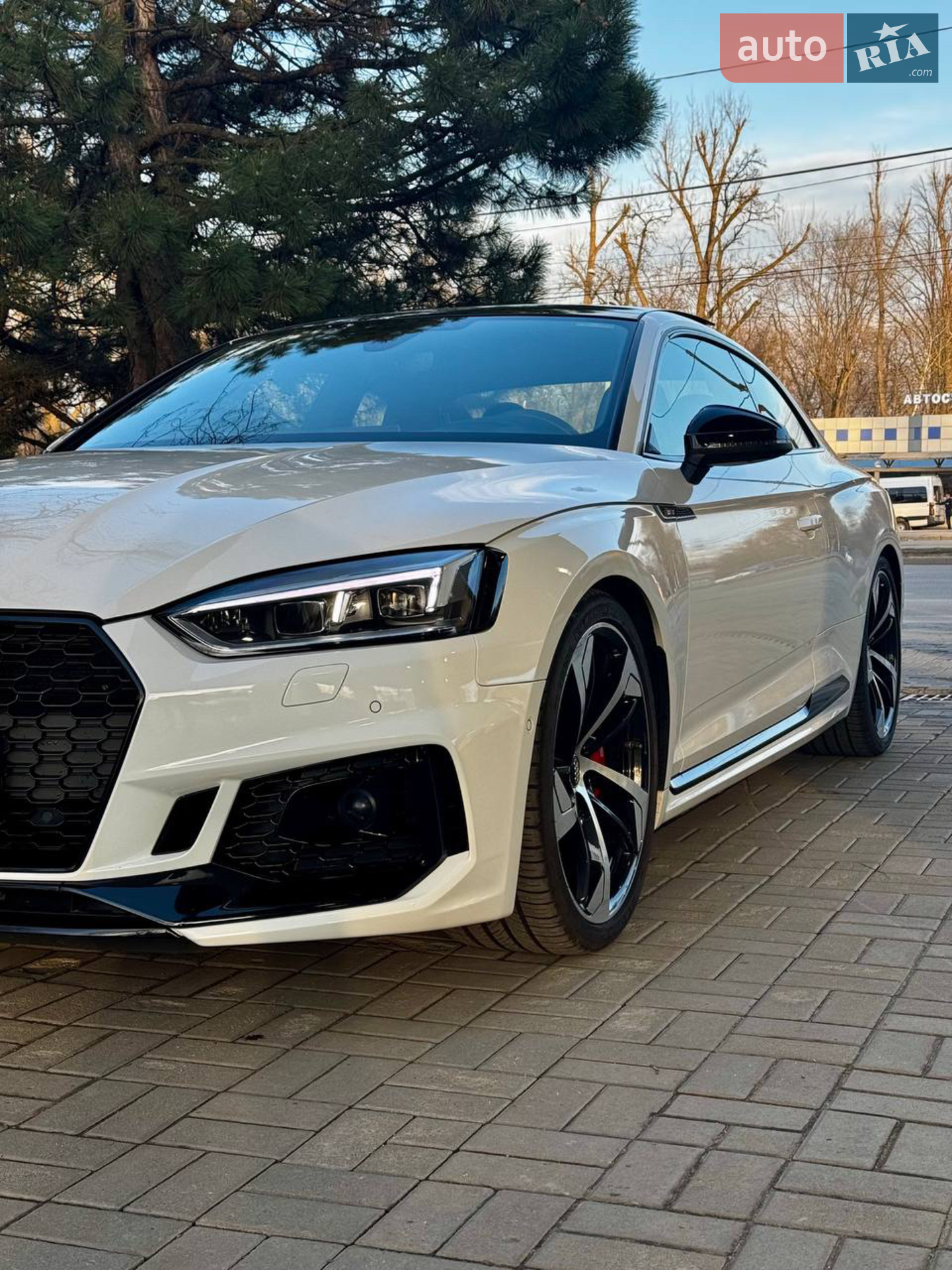 2019 Audi RS5 - мініатюра 7