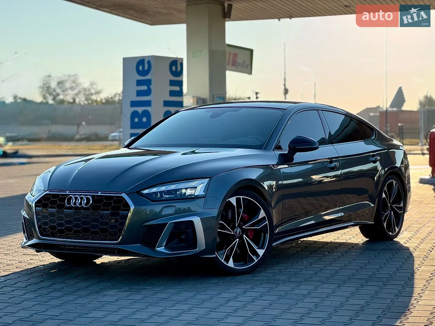 2022 Audi S5 - фото 1