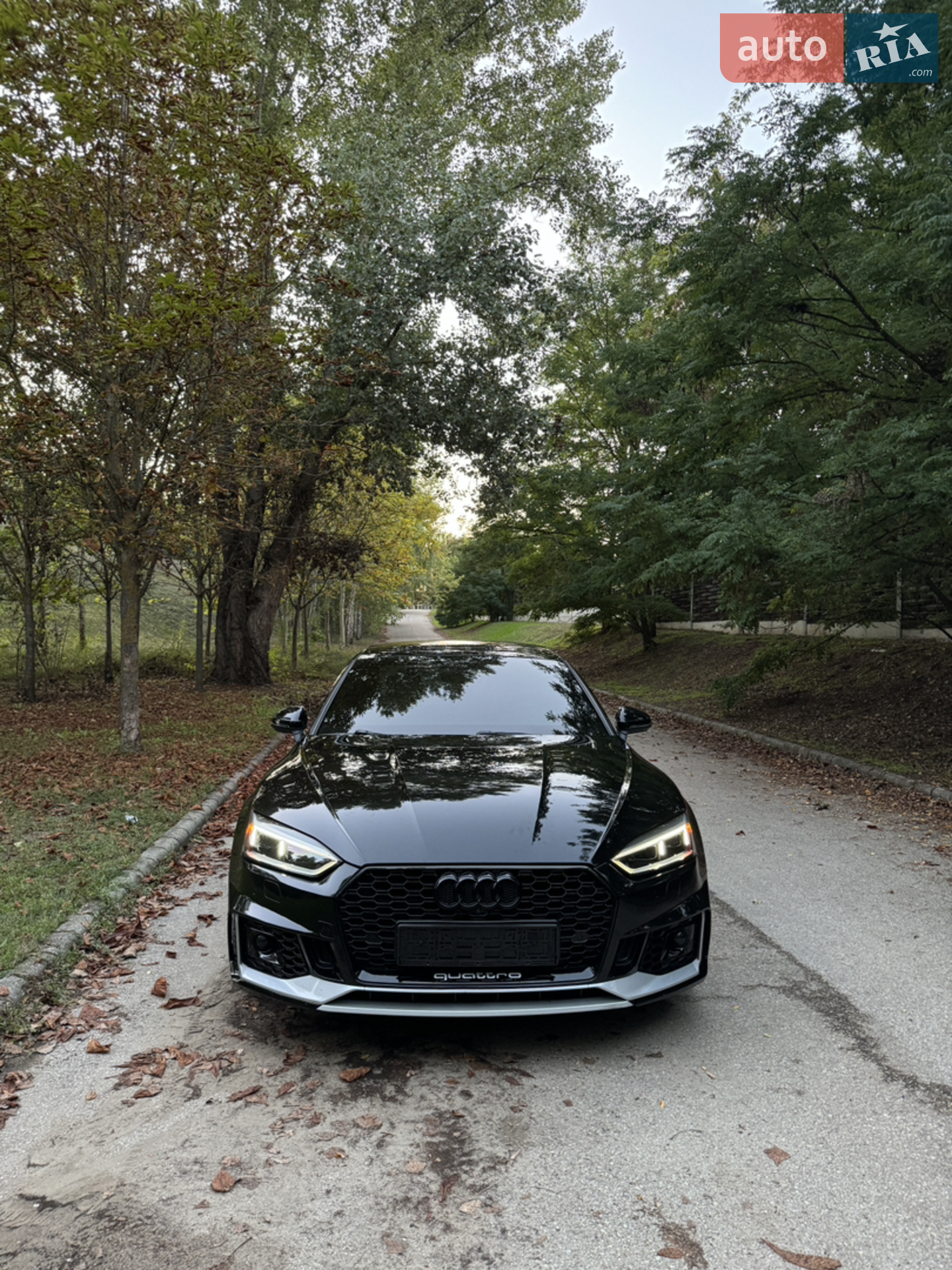 2018 Audi S5 - мініатюра 44